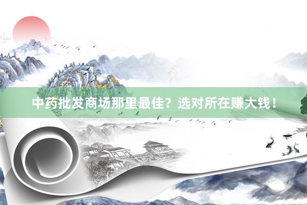 中药批发商场那里最佳？选对所在赚大钱！